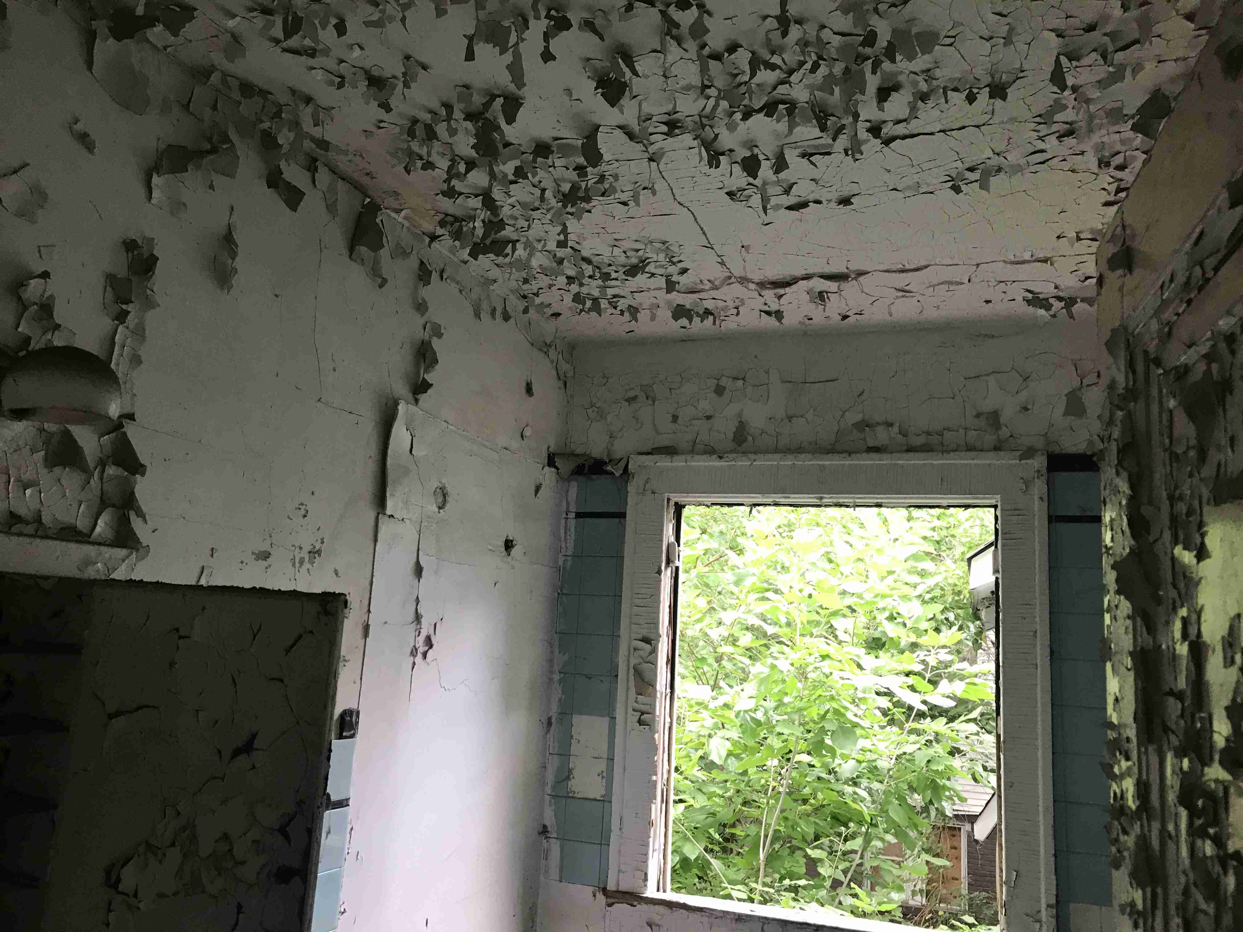 Photo Sep 09, 4 28 00 PM.jpg